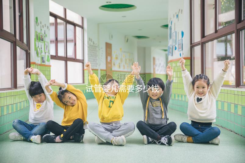 試管嬰兒需要多少錢