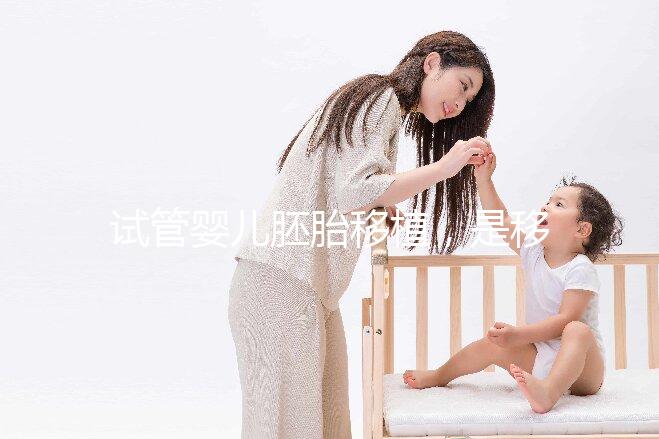 試管嬰兒胚胎移植，是移植第3天胚胎好還是囊胚好？