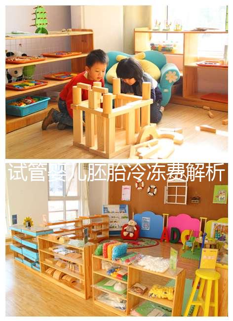 試管嬰兒胚胎冷凍費解析，一年下來大概要花這么多