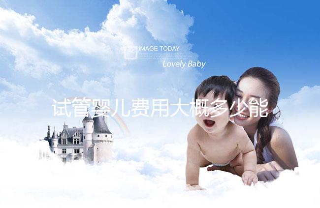 試管嬰兒費(fèi)用大概多少能報銷醫(yī)保（試管嬰兒費(fèi)用大概多少能報銷醫(yī)保啊）