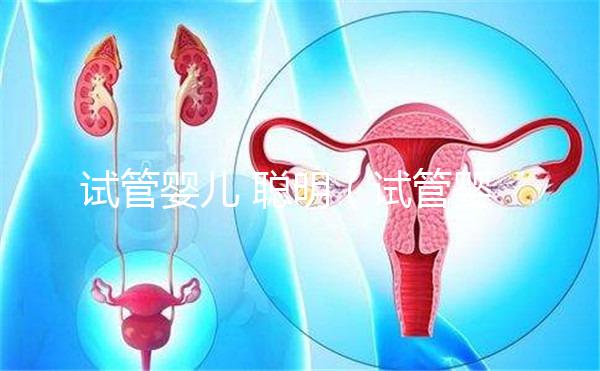 試管嬰兒 聰明（試管嬰兒聰明還是自然受孕聰明）