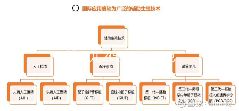 試管嬰兒2促3移,說(shuō)說(shuō)5點(diǎn)我的成功懷孕經(jīng)驗(yàn)