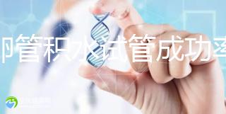 輸卵管積水試管成功率（輸卵管積水懷孕幾率有多大）