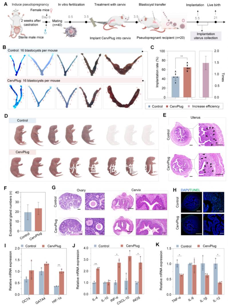 貴州六盤水做試管嬰兒多少錢？能做試管的醫(yī)院名單來了