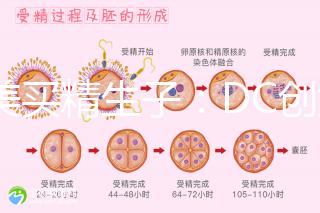 赴美買精生子：DC創始人葉海洋怒砸50萬生下五國混血兒