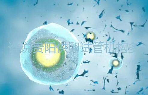 誰說貴陽供卵試管機構多給錢就不用排隊，醫(yī)生：不亂收費