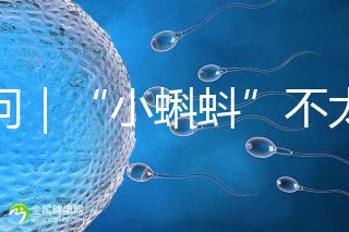 追問|“小蝌蚪”不太給力,一代二代試管嬰兒技術(shù)哪個強?