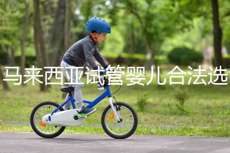 馬來西亞試管嬰兒合法選性別,孩子性別你決定,就是這么任性