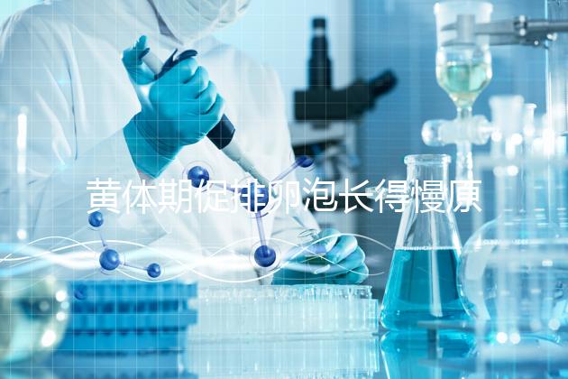 黃體期促排卵泡長(zhǎng)得慢原因已找到!4種手段幫你解決