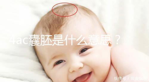 4ac囊胚是什么意思？移植成功率