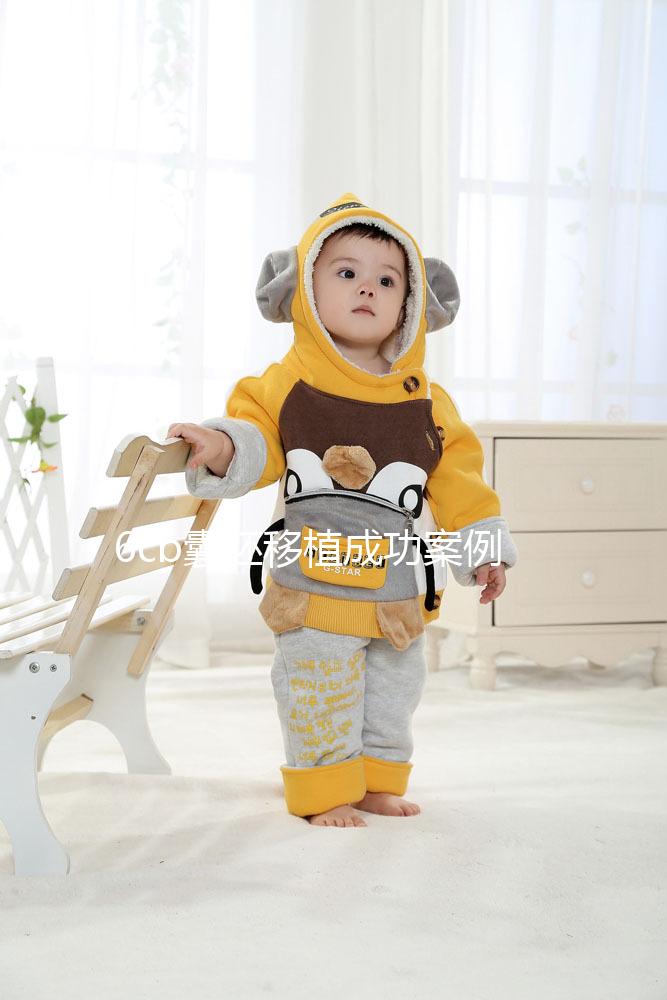 6cb囊胚移植成功案例并不少！過(guò)來(lái)人分享經(jīng)驗(yàn)帶你好孕