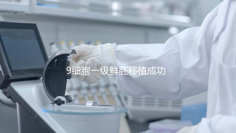 9細(xì)胞一級(jí)鮮胚移植成功率分析，和8細(xì)胞2級(jí)相比略遜一籌
