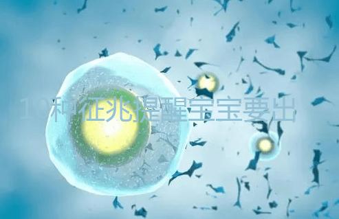 10種征兆提醒寶寶要出生了,分娩前一周陸續(xù)出現要觀察