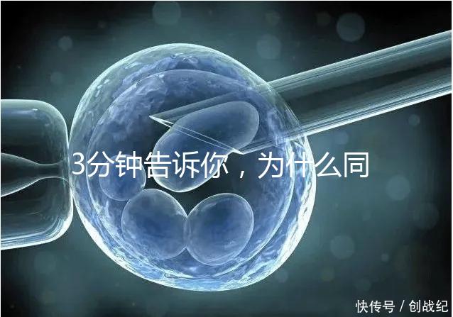 3分鐘告訴你，為什么同卵雙胞胎不會是龍鳳胎