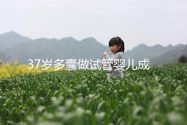 37歲多囊做試管嬰兒成功幾率多高?國(guó)內(nèi)哪里做比較好