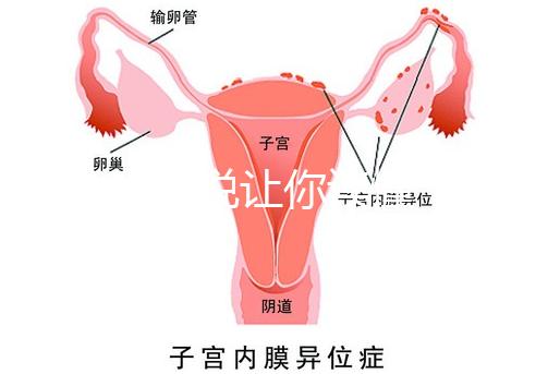1分鐘解說讓你讀懂，排卵試紙白板一根線等各個反應(yīng)