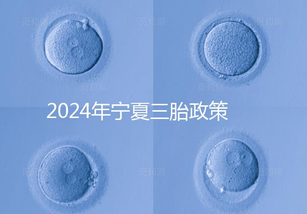 2024年寧夏三胎政策最新規(guī)定來襲，附西夏區(qū)實(shí)施時(shí)間