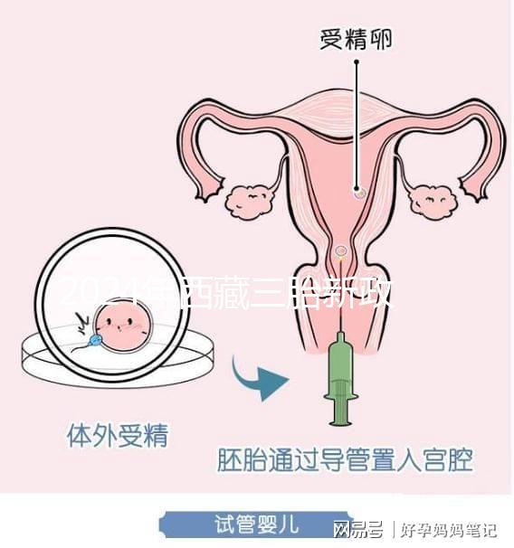 2024年西藏三胎新政策出臺，拉薩、日喀則產(chǎn)假戳多久？