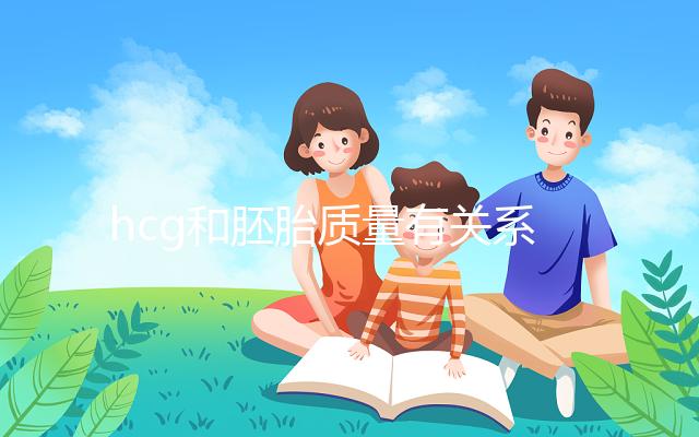 hcg和胚胎質(zhì)量有關(guān)系?hcg低并不一定是胚胎不好!